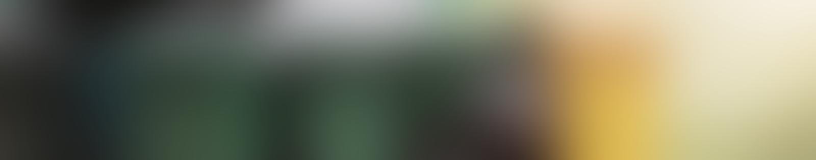 Servizio di gestione rifiuti e sostenibilità ambientale a Roma